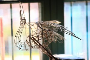 你们相信择一事 终一生吗？