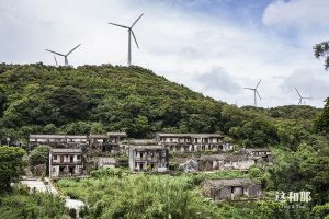 南澳岛上有宋茶