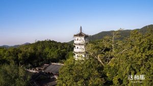 禅宗六祖在人间