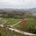 在非遗保护中寻找商业和文化的平衡