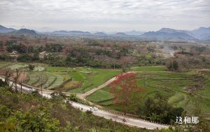 在非遗保护中寻找商业和文化的平衡