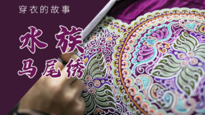 穿衣的故事1-水族马尾绣