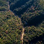 相逢在岭南：苏东坡与韩愈的隔空对话