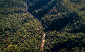 相逢在岭南：苏东坡与韩愈的隔空对话
